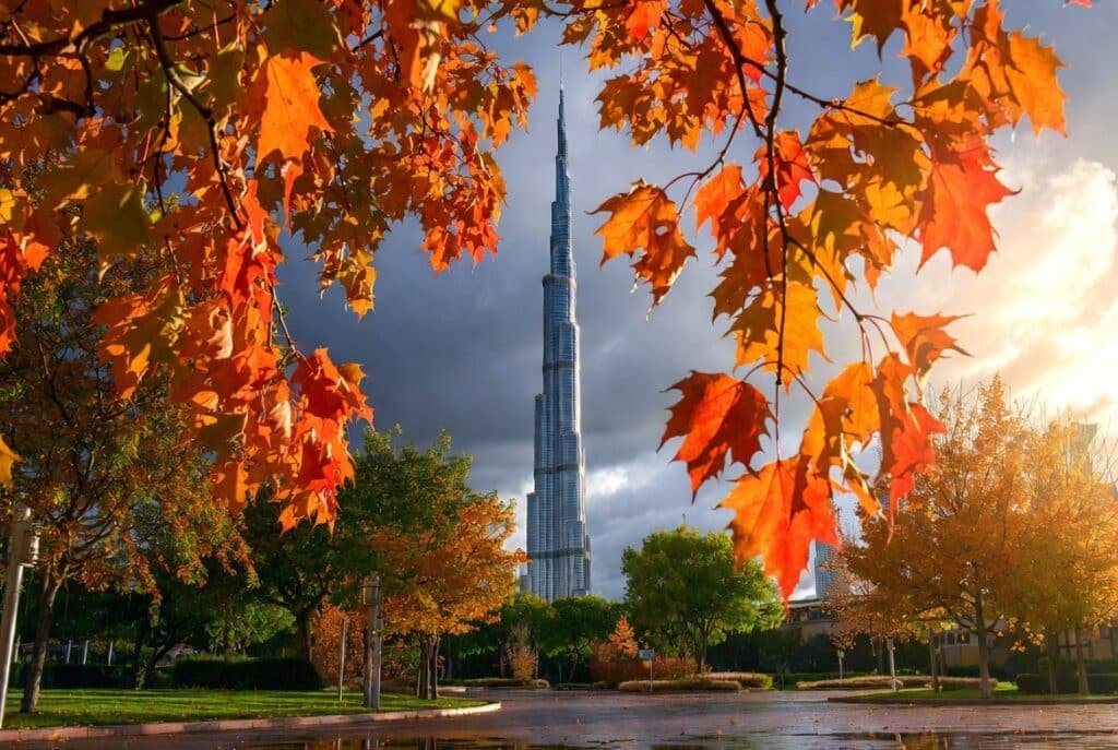 burj khalifa maple tree